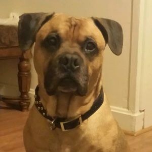 Meet your Posher, Brittany